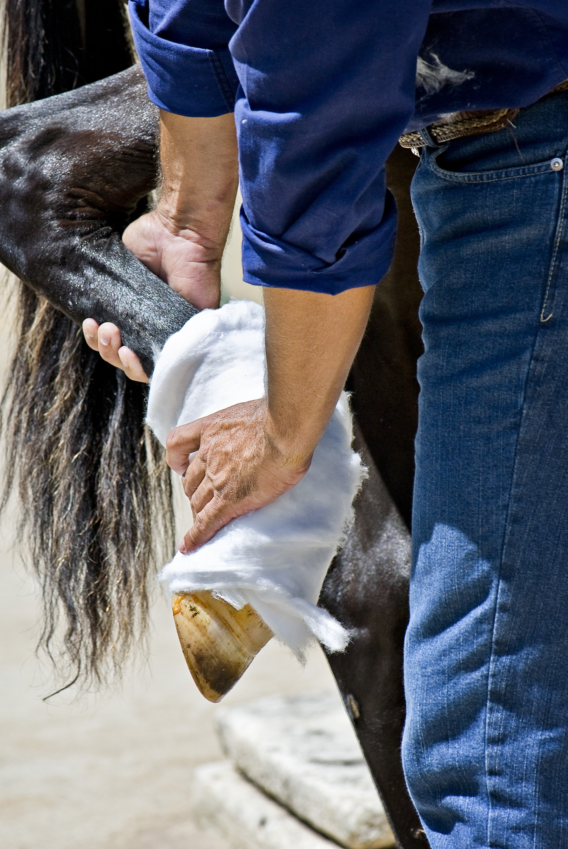 10 things to do in an emergency